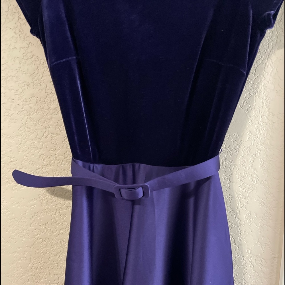 JS Collections Purple Velvet Dress